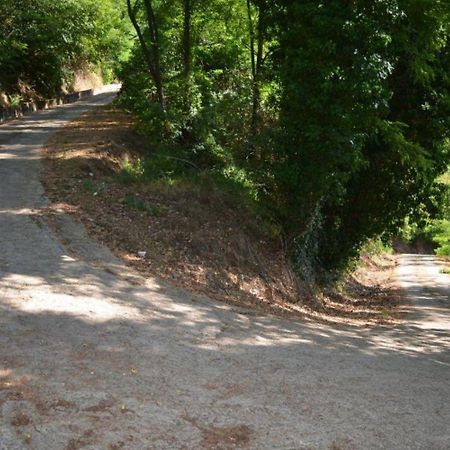 A'Loro B&B Terranuova Bracciolini Ngoại thất bức ảnh