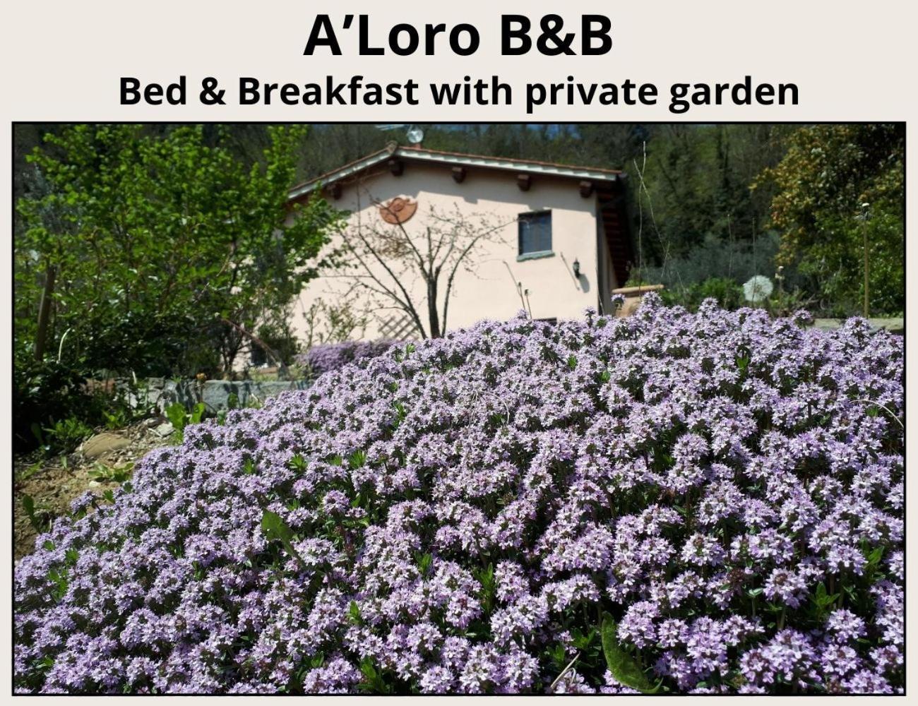 A'Loro B&B Terranuova Bracciolini Ngoại thất bức ảnh