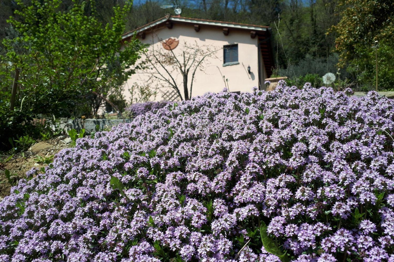 A'Loro B&B Terranuova Bracciolini Ngoại thất bức ảnh